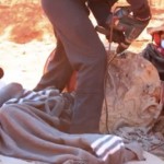 Direct Action used by blockaders in New South Wales