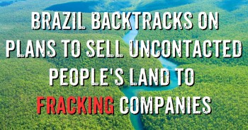 Government sold 122,000 square kilometres of Brazilian Amazon...